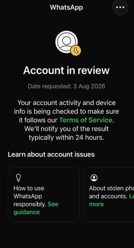 La schermata di errore condivisa da diversi utenti su alcuni social: "account in review "